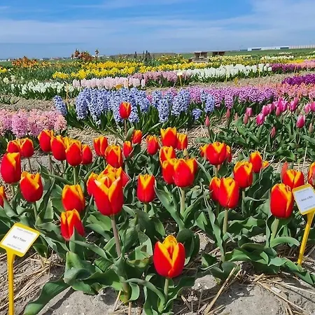 Yperhof Casa de Férias Julianadorp