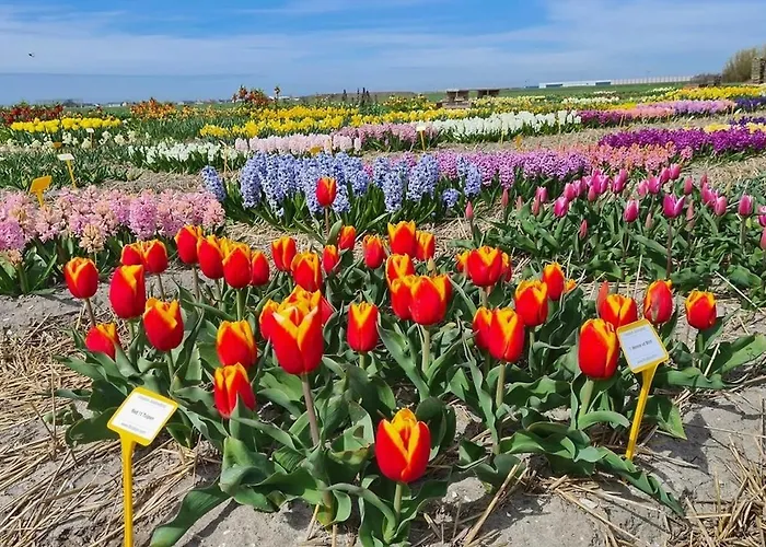 Yperhof Casa de Férias Julianadorp